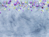 Flower Against Gray Blue Backdrops For Photography IBD-24500