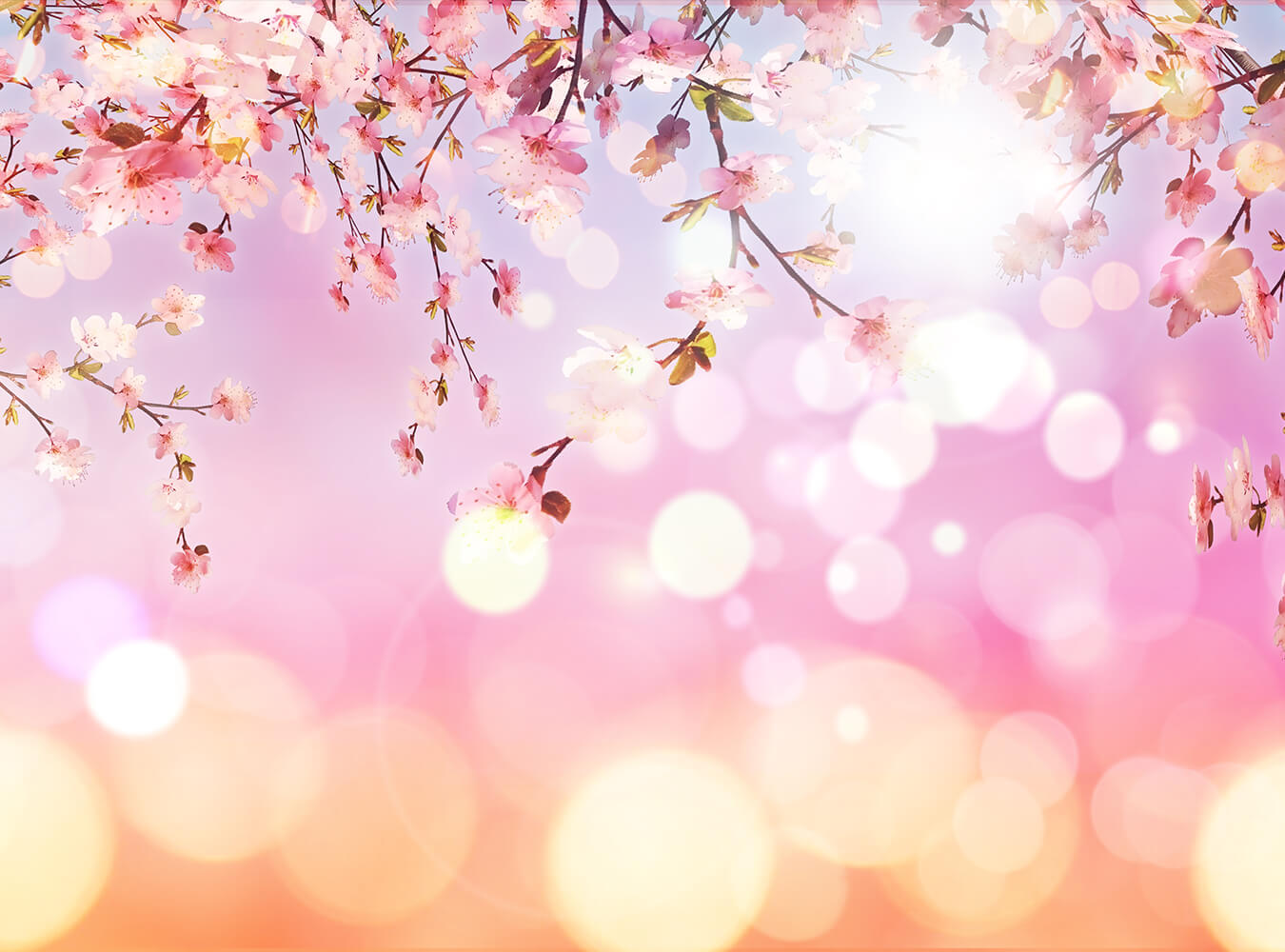Flower Backdrops Pink Floral Background for Photography IBD-24495