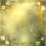 Flowers Golden Velvet Sense Background Abstract Photography Backdrop IBD-20118