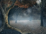 Foggy Forest Big Tree Ancient Fairy Background Photo Backdrop IBD-19934 - iBACKDROP-Big Tree, Foggy Forest Backdrop, For Photography, Photo Background, Photography Background, Portrait Photo Backdrop, Tree Backdrops