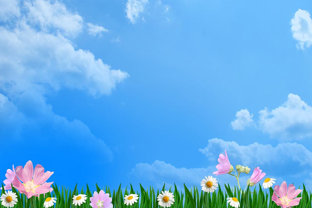 Fresh Blue Sky Grass Flower Background Photography Backdrops IBD-19357