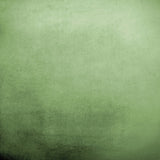 Fresh and Simple Green Texture Photography Background Abstract Portrait backdrop IBD-19777