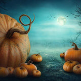 Festival Backdrops Halloween Backdrops Pumpkin Background G-028 - iBACKDROP