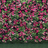 Patterned Backdrop Flower Backdrop Green Background G-030 - iBACKDROP