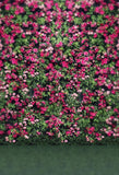 Patterned Backdrop Flower Backdrop Green Background G-030