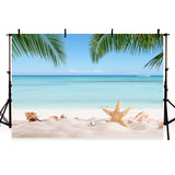 Scenic Background Beaches Backdrops Ocean Backdrop Blue Sky G-228