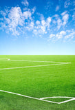 Sport Backdrops Soccer Backgrounds Grass Backdrops G-298