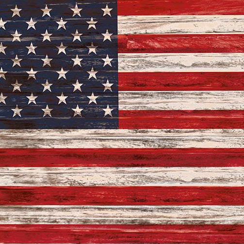Bunting Backdrops Grunge Backdrops American Flag Background G-341