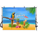 Summer Backdrops Blue Background Beach Backdrop G-432