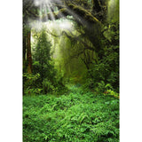 Trees Woodland Background Jungle Backdrop Beautiful Backdrops G-476