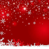 Season Backgrounds Winter Backdrop Snowy Backdrop Snowflake G-517 - iBACKDROP