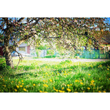 Tree Backdrops Parks Backdrop Yellow Flowers Backgrounds G-524