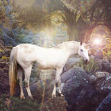 Animal Backdrops Stone Backdrop Unicorn Background G-544 - iBACKDROP-Animal Backdrops, Dinosaur Backdrop, Nature Background