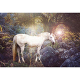 Animal Backdrops Stone Backdrop Unicorn Background G-544 - iBACKDROP-Animal Backdrops, Dinosaur Backdrop, Nature Background