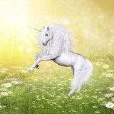 Animal Backdrops Grass Backdrop Unicorn Background G-545 - iBACKDROP-Animal Backdrops, Dinosaur Backdrop, Nature Background