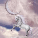 Animal Backdrops Digital Background Backdrops for Photography Unicorn G-547 - iBACKDROP-Animal Backdrops, Backdrops for Photography, Digital Background