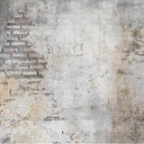 Grunge Backdrops Brick Wall Backgrounds Custom Photo Backdrops G-559 size:1x1