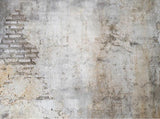 Grunge Backdrops Brick Wall Backgrounds Custom Photo Backdrops G-559Grunge Backdrops Brick Wall Backgrounds Custom Photo Backdrops G-559 SIZE:2x1.5