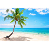 Beaches Backdrops Holiday Backdrops Photography Background Sunset G-588 - iBACKDROP-Beaches Backdrops, hol, holi, holid, holida, Holiday Backdrops, Photography Background