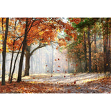 Season Backdrops Autumn Backdrops Beautiful Maple Leaf Background G-593