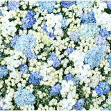 Patterned Backdrops Flower Backdrop Spring Backgrounds G-607