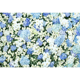 Patterned Backdrops Flower Backdrop Spring Backgrounds G-607