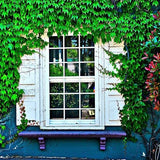 Scenic Backdrops Door Backdrops Grass Background G-668 - iBACKDROP