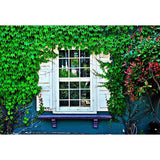 Scenic Backdrops Door Backdrops Grass Background G-668