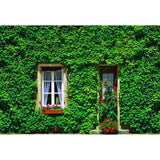 Window And Door Backdrops Green Backdrop Leaf Background G-669