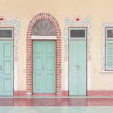 Scenic Backdrops Door Backdrops Photography Green Door G-670 - iBACKDROP