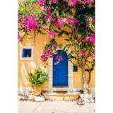 Scenic Backdrops Window Door Backdrops Colorful Background G-670