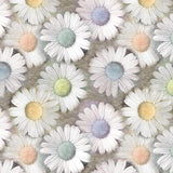 Patterned Backdrops Flowers Backdrop Daisy Backgrounds G-672