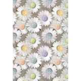 Patterned Backdrops Flowers Backdrop Daisy Backgrounds G-672