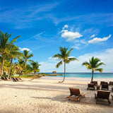 Scenic Backdrops Beaches Backdrops Cheap Background G-673