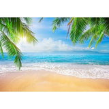 Beach Backdrops Trees Backdrops Blue Backgrounds G-698