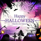 Halloween Backdrops Festival Backdrops Pumpkin Lantern Background G-787 - iBACKDROP