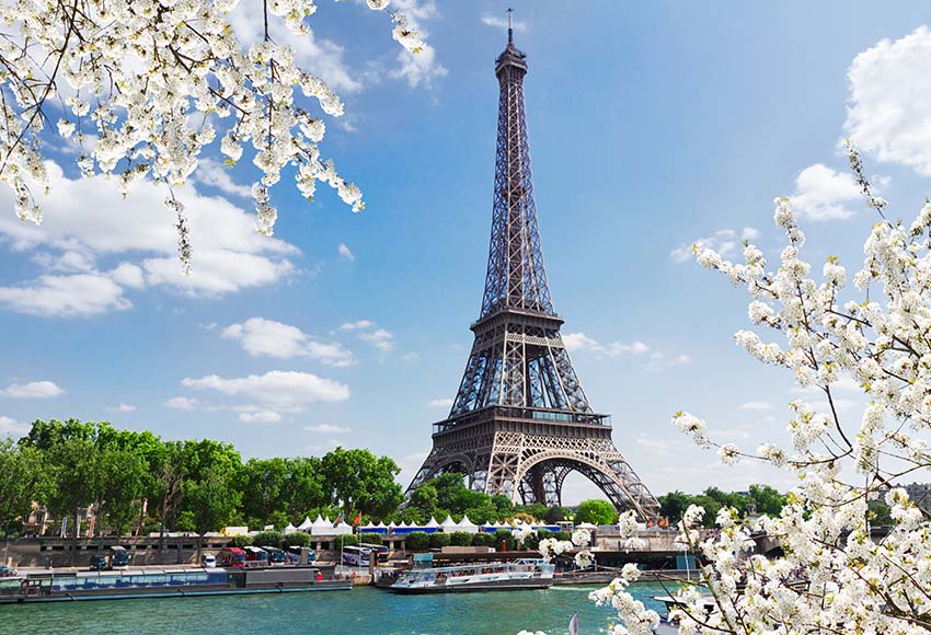 Eiffel Tower Flower Scenery Background For Photography GY-062
