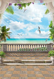 Sunshine Beach With Seagull Scenery Background GY-092