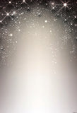 Snowflake Glitter Gray Photography Background GY-121