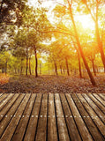 Yellow Forest Dusk Autumn Backdrop GY-150