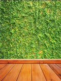 Natural Green Vines Plant Wall Backdrop GY-160
