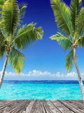 Beach Scenic Coconut Tree Backdrop GY-163