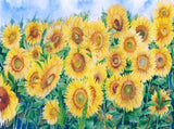 Golden Flowers Bright Summer Sunflower Field Watercolor Photography Background IBD-20150