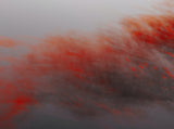 Gray and Red Texture Backdrop For Photography IBD-24438