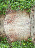 Green Background Ivy Growing Natural Frame Backdrop Old Brick Wall IBD-19977