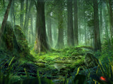 Green Forest Background For Photography IBD-24559