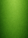 Green Grass Texture Background Abstract Backdrops IBD-19468