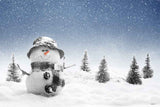 Festival Backdrops Winter Backdrops Snowflake Background HJ02203-E