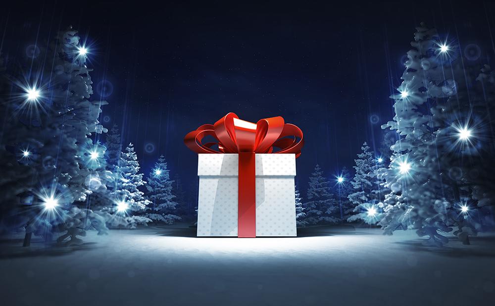 Huge Gift Box in the Snow Background Christmas Backdrops IBD-19322