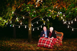 Maple Leaf Tree With Light String For Party Or Valentine's Day Backdrop IBD-24403